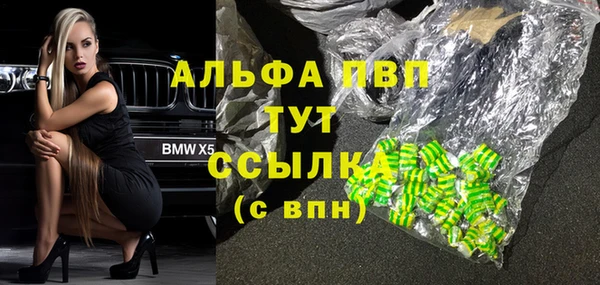 сатива Кинешма
