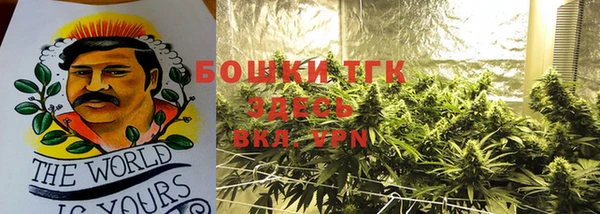 сатива Кинешма