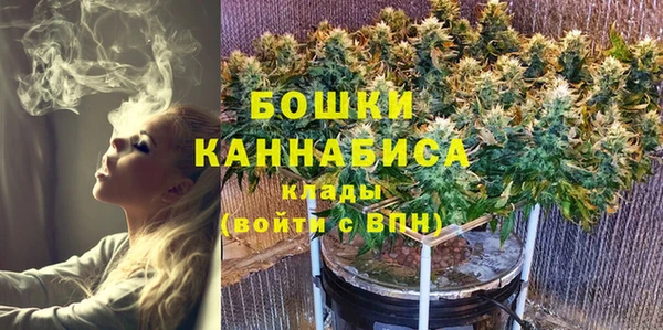 сатива Кинешма