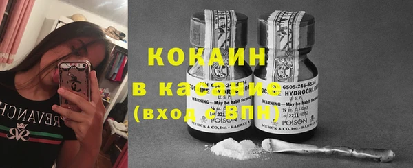сатива Кинешма