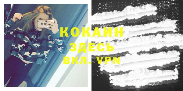 сатива Кинешма