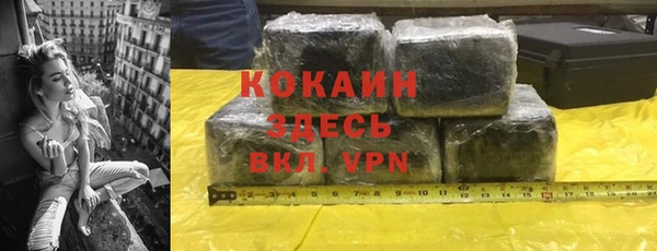 сатива Кинешма